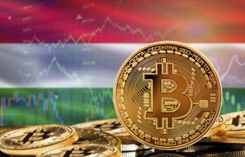 Investors in cryptocurrency and Blockchain Technology in Hungary, Concept. Bitcoin with Hungary