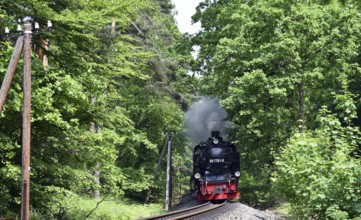 Der rasende Roland, steam locomotive on Rügen, Mecklenburg-Western Pomerania, Germany
