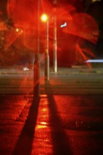 Traffic light, road traffic at night and poor visibility in a city, autumn, Germany