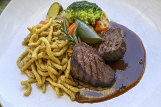 Springbok fillet with spaetzle in a restaurant, Windhoek, Khomas region, Namibia