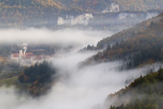 View of Benedictine monastery Beuron, Archabbey of St. Martin, limestone rock, rock face, mixed