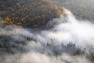 View from the Knopfmacherfelsen into the Danube valley, mixed forest, autumn colours, fog, autumn,