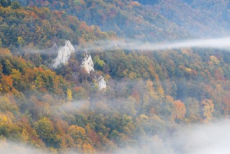 View from the Knopfmacherfels into the Danube valley, limestone rock, rock face, mixed forest,