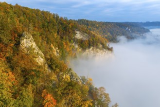 View from the Knopfmacherfels into the Danube valley, limestone rock, mixed forest, autumn colours,