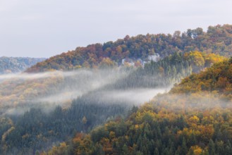 View from the Knopfmacherfels into the Danube valley, mixed forest, autumn colours, fog, autumn,