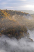 View from the Knopfmacherfels into the Danube valley, limestone rock, rock face, mixed forest,