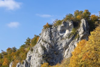 Rock face mixed forest in autumn colours, limestone rock, autumn, Gutenstein, Danube valley, Upper