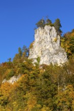 Rock face in mixed forest in autumn colours, limestone rock, autumn, Danube valley, Upper Danube