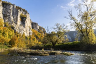 Rock face with mixed forest in autumn colours, limestone rock, Danube, autumn, Schaufelsen