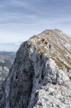 Mountaineer on the ridge of the Gamsjoch, transition to the main summit of the Gamsjoch, in autumn,