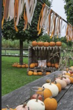 Autumnal decoration with pumpkins, colourful ribbon and candles on a wooden table in a green