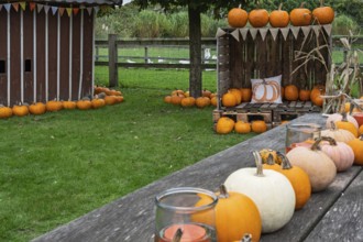 Autumnal decoration with pumpkins, colourful ribbon and candles on a wooden table in a green