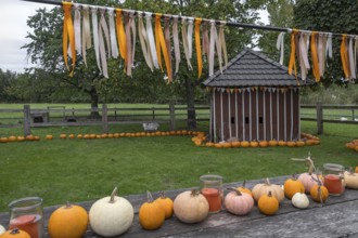 Table with pumpkins and glasses in front of a small wooden building, decorated with colourful