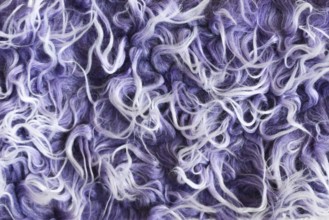 Close up of purple and white synthetic fake sheep wool-like fur