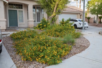 Las Vegas, Nevada - The Las Vegas Valley Water District has cut usage of scarce Colorado River