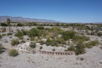 Coyote Ssprings - The Coyote Springs golf course in the Nevada desert. The Jack Nicklaus-designed