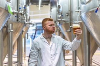 Brewmaster in lab coat inspects a glass of golden craft beer in a modern brewery, assessing color,