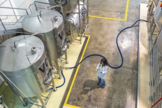 Woman scientist in a white lab coat monitoring stainless steel fermentation tanks in a modern