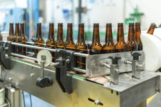 Empty glass beer bottles traveling on a stainless steel conveyor belt within a modern brewing
