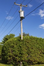 Electricity transformer, high voltage transmission wires, internet, telephone cables attached to