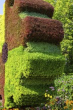 Close-up of Gear sculpture made of live green, maroon and red Alternanthera plants in summer,