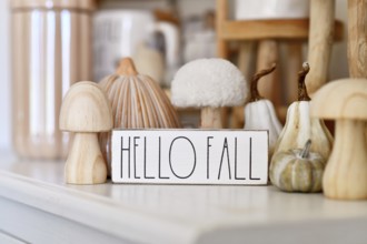 Germany - October 2025: Boho autumn home decor with ceramic pumpkin, wooden mushroom and Hello Fall