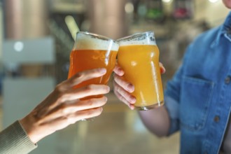 Hands clinking foamy craft beer glasses in a modern brewery taproom, celebrating friendship and