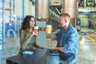 Two friends clinking glasses of craft beer during a tasting at a modern industrial brewery, smiling