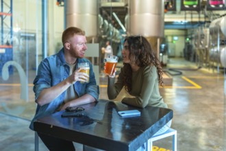 Couple sitting at a table in a modern craft beer factory, drinking and communicating while enjoying