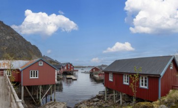 Scenic fishing village A in Lofoten Islands with authentic fishermen sheds and museum