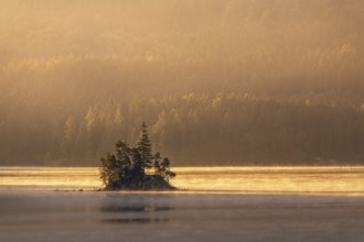 Morning atmosphere at the Eibsee lake, small island in the first light, Grainau near