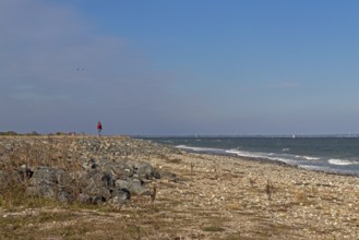 Beach, Baltic Sea, Falshöft, Pommerby, Schleswig-Holstein, Germany