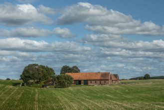 Old red farm under cloud in Baldinge, Ystad nunicipality, Skåne county, Sweden, Scandinavia