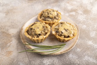 Tartlets with meat and cheese on brown concrete background. side view, close up