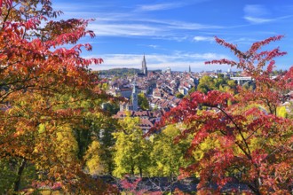 View of Bern's old town with colourful cherry trees, UNESCO World Heritage Site, Canton of Bern,