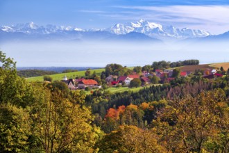 Village of Juriens in the Vaud Jura with view of Mont Blanc, haze over Lake Geneva, autumn-coloured