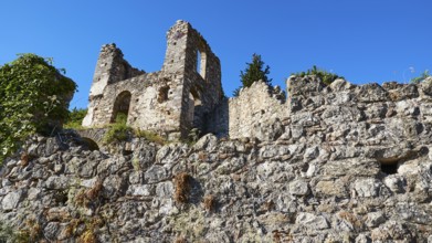 Ruined walls with plants under a clear blue sky in an ancient setting, Mystras, Mistra, UNESCO