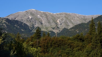A high mountain rises above dense trees under a bright blue sky, Mystras, Mistra, UNESCO World