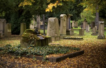 Gravestone, grave of poet and writer Wilhelm Hauff, graves, Hoppenlauf cemetery, oldest preserved