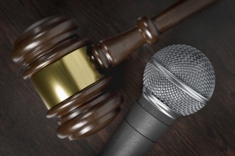 Close-up of a gavel and microphone resting on a wooden table