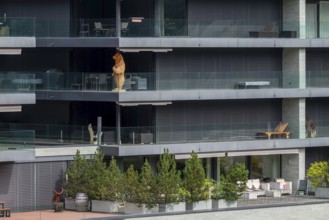 Apartment block, Arosa, Graubünden, Switzerland