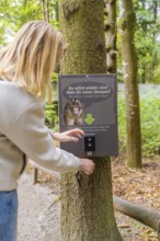 A person interacts with a sign on a tree for a stamp in the forest, Affenberg Salem, Lake Constance