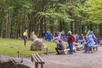 Group of visitors observing a monkey during a guided tour in a natural environment, Affenberg