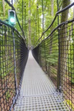 A narrow suspension bridge made of plastic and rope leads through a dense forest, Affenberg Salem,