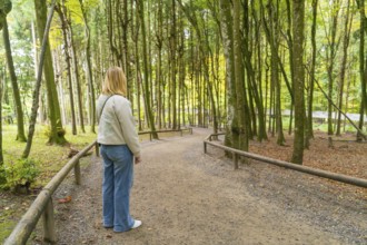 Person standing on a forest path surrounded by tall trees in autumn, Affenberg Salem, Lake