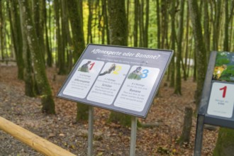 Information sign in a forest with humorous content about monkeys and bananas, Affenberg Salem, Lake