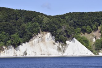 Chalk coast at Jasmund National Park on Rügen, Mecklenburg-Western Pomerania, Germany