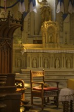 Cat sleeping on an armchair in the chancel, Saint Martin Church, Yport, Seine-Maritime, France