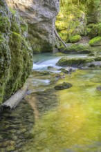 Erlauf Gorge, Purgstall an der Erlauf, Lower Austria, Austria