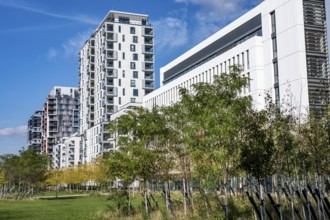 Modern residential neighbourhood along Toulouser Allee, high-rise buildings with flats and offices,